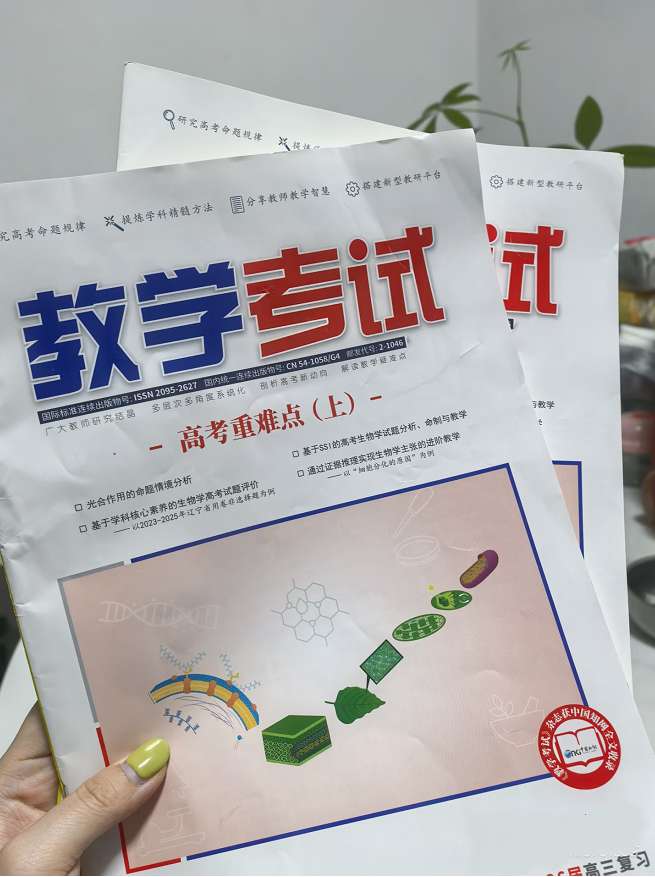 教学考试